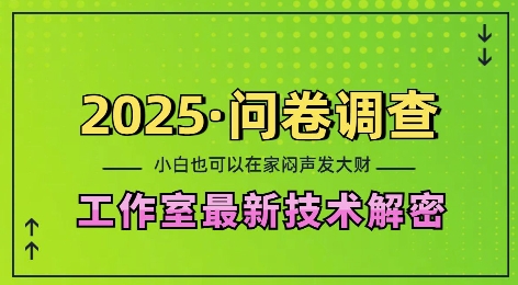 2025问卷调查最新工作室技术解密：一个人在家也可以闷声发大财，小白一天2张，可矩阵放大【揭秘】-中创网_分享创业项目_互联网资源