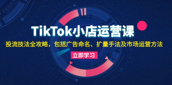 （13063期）TikTok小店运营课：投流技法全攻略，包括广告命名 扩量手法及市场运营方法-中创网_分享创业项目_互联网资源