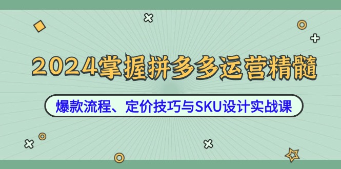 （12703期）2024掌握拼多多运营精髓：爆款流程、定价技巧与SKU设计实战课-中创网_分享创业项目_互联网资源