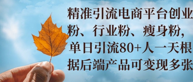 小投资撬动大收益，精准引流创业粉、行业粉，单日引流80+，一天可变现多张-中创网_分享创业项目_互联网资源