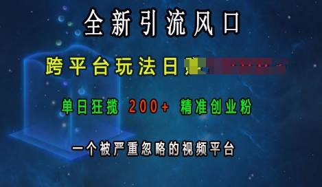 全新引流风口，跨平台玩法日入上k，单日狂揽200+精准创业粉，一个被严重忽略的视频平台-中创网_分享创业项目_互联网资源