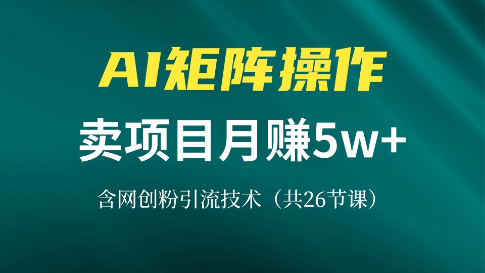 （13335期）网创IP打造课，借助AI卖项目月赚5万+，含引流技术（共26节课）-中创网_分享创业项目_互联网资源