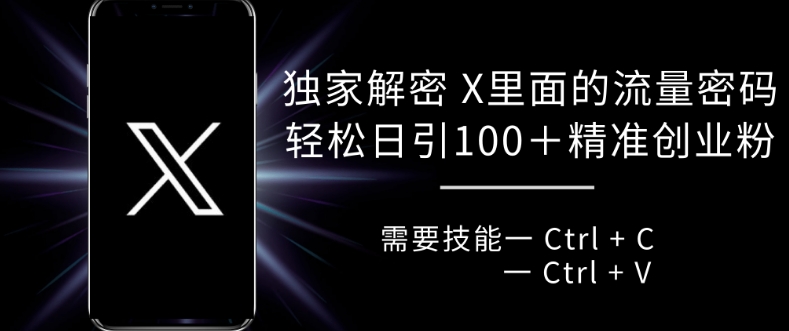 独家解密 X 里面的流量密码，复制粘贴轻松日引100+-中创网_分享创业项目_互联网资源