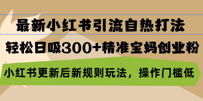 （13145期）最新小红书引流自热打法，轻松日吸300+精准宝妈创业粉，小红书更新后新…-中创网_分享创业项目_互联网资源