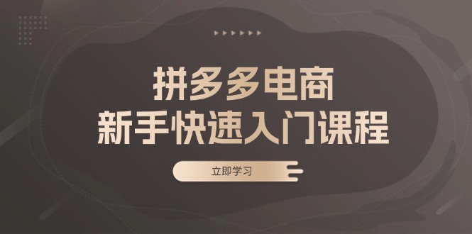 （13289期）拼多多电商新手快速入门课程：涵盖基础、实战与选款，助力小白轻松上手-中创网_分享创业项目_互联网资源