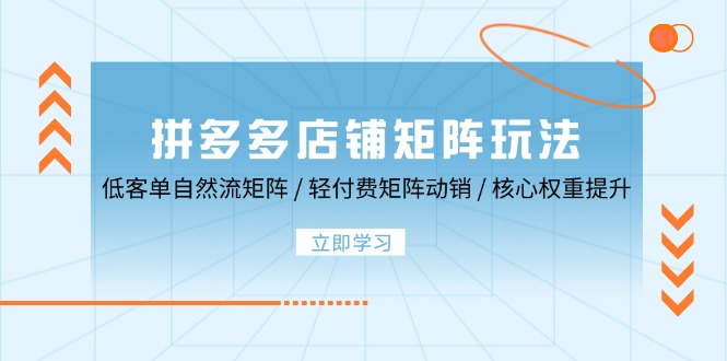 拼多多店铺矩阵玩法：低客单自然流矩阵 / 轻付费矩阵 动销 / 核心权重提升-中创网_分享创业项目_互联网资源