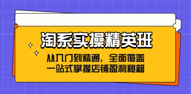 淘系实操精英班：从入门到精通，全面覆盖，一站式掌握店铺盈利秘籍-中创网_分享创业项目_互联网资源