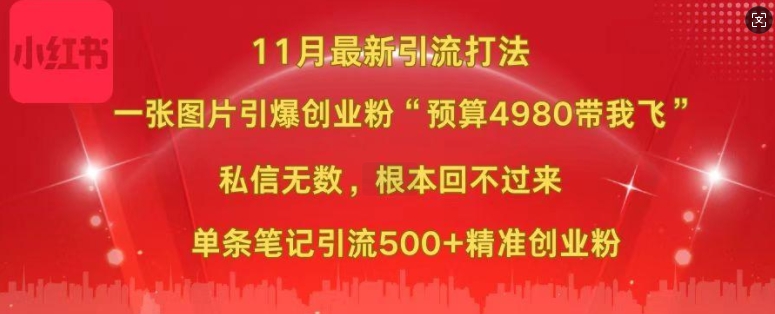 小红书11月最新图片打粉，一张图片引爆创业粉，“预算4980带我飞”，单条引流500+精准创业粉-中创网_分享创业项目_互联网资源