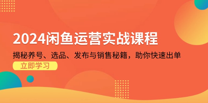 （13290期）2024闲鱼运营实战课程：揭秘养号、选品、发布与销售秘籍，助你快速出单-中创网_分享创业项目_互联网资源