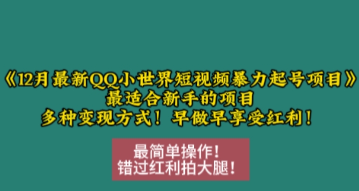 12月最新QQ小世界短视频暴力起号项目，最适合新手的项目，多种变现方式-中创网_分享创业项目_互联网资源