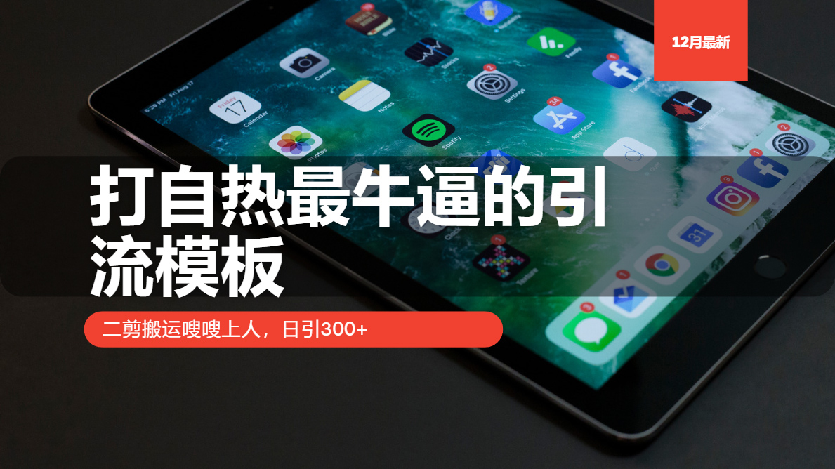 （13654期）打自热最牛逼的引流模板，二剪搬运嗖嗖上人，日引300+-中创网_分享创业项目_互联网资源