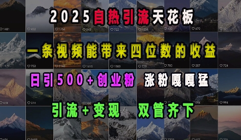 2025自热引流天花板，一条视频能带来四位数的收益，引流+变现双管齐下，日引500+创业粉，涨粉嘎嘎猛-中创网_分享创业项目_互联网资源