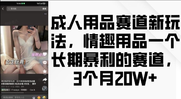 成人用品赛道新玩法，情趣用品一个长期暴利的赛道，3个月收益20个【揭秘】-中创网_分享创业项目_互联网资源