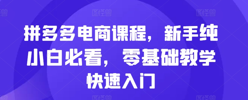 拼多多电商课程，新手纯小白必看，零基础教学快速入门-中创网_分享创业项目_互联网资源