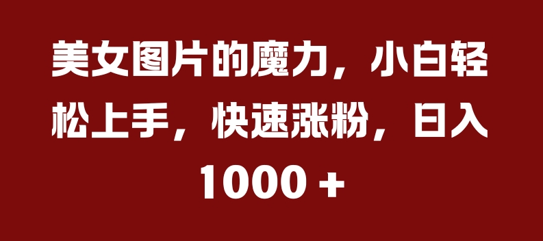 美女图片的魔力，小白轻松上手，快速涨粉，日入几张【揭秘】-中创网_分享创业项目_互联网资源