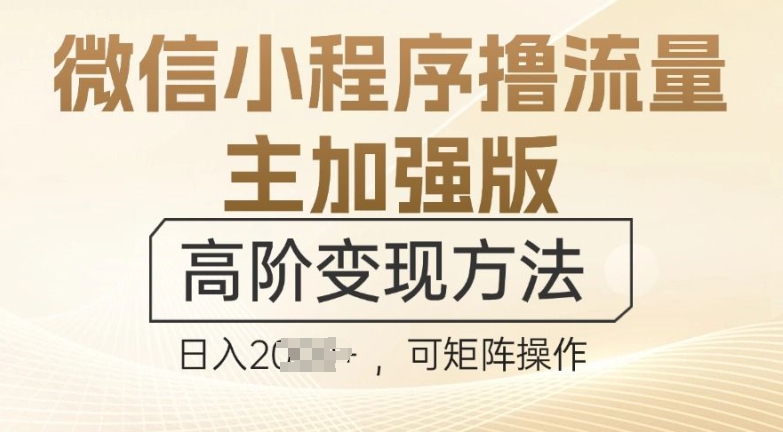 微信小程序撸流量主加强版，高阶变现方法，日收益多张-中创网_分享创业项目_互联网资源