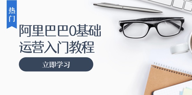 （13291期）阿里巴巴运营零基础入门教程：涵盖开店、运营、推广，快速成为电商高手-中创网_分享创业项目_互联网资源