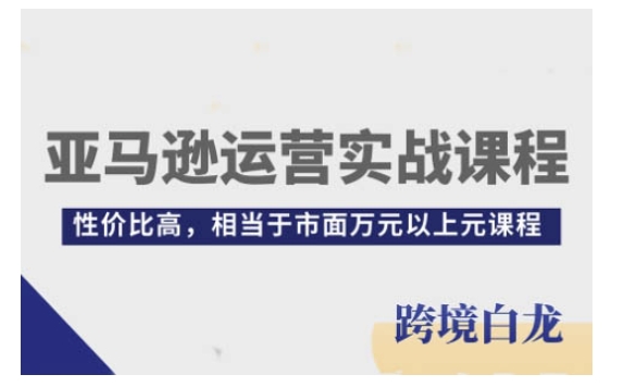 亚马逊运营实战课程，亚马逊从入门到精通，性价比高，相当于市面万元以上元课程-中创网_分享创业项目_互联网资源