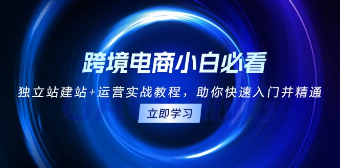 （13503期）跨境电商小白必看！独立站建站+运营实战教程，助你快速入门并精通-中创网_分享创业项目_互联网资源