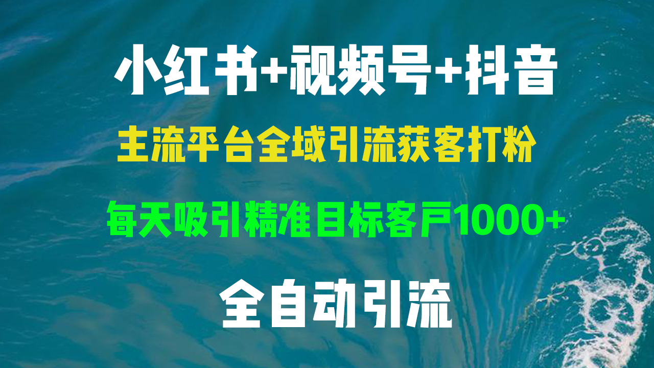 （13104期）小红书，视频号，抖音主流平台全域引流获客打粉，每天吸引精准目标客户…-中创网_分享创业项目_互联网资源