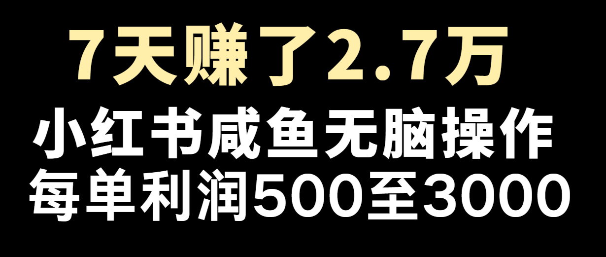 七天赚了2.7万！每单利润最少500+，轻松月入5万+小白有手就行-中创网_分享创业项目_互联网资源