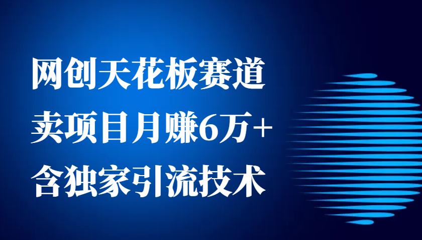 网创天花板赛道，卖项目月赚6万+，含独家引流技术（共26节课）-中创网_分享创业项目_互联网资源