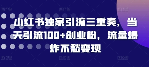 小红书独家引流三重奏，当天引流100+创业粉，流量爆炸不愁变现【揭秘】-中创网_分享创业项目_互联网资源