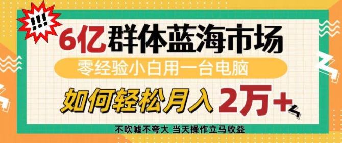 6亿群体蓝海市场，零经验小白用一台电脑，如何轻松月入过w【揭秘】-中创网_分享创业项目_互联网资源