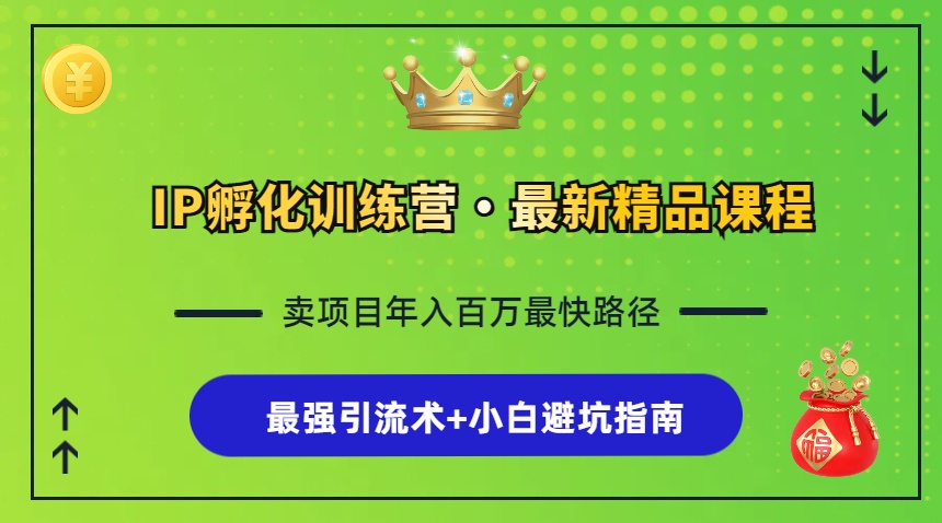 （13055期）IP孵化训练营，知识付费全流程+最强引流术+小白避坑指南-中创网_分享创业项目_互联网资源