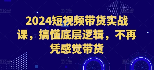 2024短视频带货实战课，搞懂底层逻辑，不再凭感觉带货-中创网_分享创业项目_互联网资源