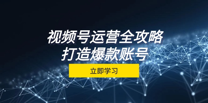 （12912期）视频号运营全攻略，从定位到成交一站式学习，视频号核心秘诀，打造爆款…-中创网_分享创业项目_互联网资源