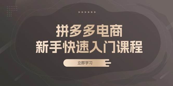 拼多多电商新手快速入门课程：涵盖基础、实战与选款，助力小白轻松上手-中创网_分享创业项目_互联网资源