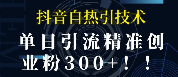 抖音自热引流，单日引流精准创业粉300+-中创网_分享创业项目_互联网资源