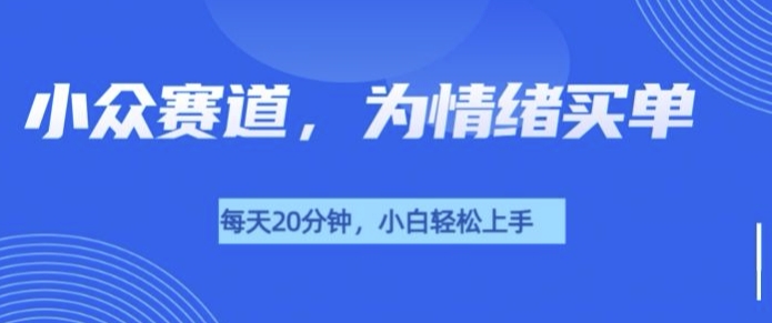 小众赛道，我的治愈系电子抱枕，让用户为情绪买单-中创网_分享创业项目_互联网资源