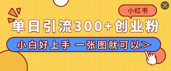 小红书单日引流300+创业粉，“简单粗暴”引流法，小白好上手，私信回不完-中创网_分享创业项目_互联网资源