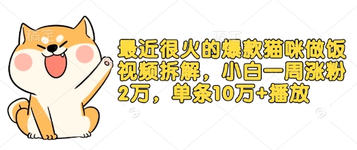 最近很火的爆款猫咪做饭视频拆解，小白一周涨粉2万，单条10万+播放(附保姆级教程)-中创网_分享创业项目_互联网资源