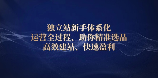 （13914期）独立站新手体系化 运营全过程，助你精准选品、高效建站、快速盈利-中创网_分享创业项目_互联网资源