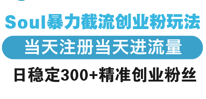 （13935期）Soul暴力截流创业粉玩法，当天注册当天进流量，日稳定300+精准创业粉丝-中创网_分享创业项目_互联网资源