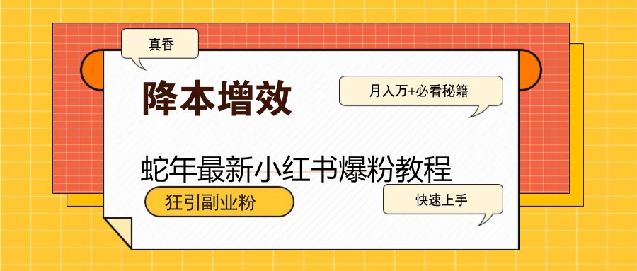 蛇年最新小红书爆粉教程，狂引副业粉，月入万+必看-中创网_分享创业项目_互联网资源