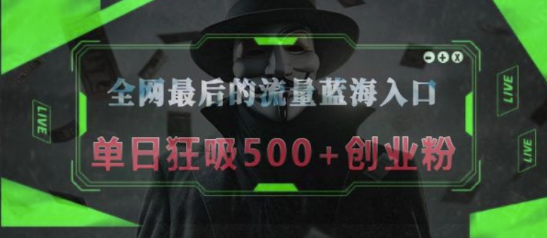 全网最后的流量蓝海入口，半小时引流50+创业粉，单日狂吸500+创业粉-中创网_分享创业项目_互联网资源