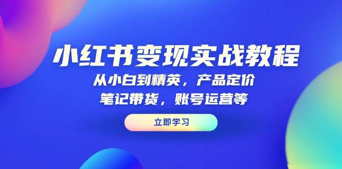 小红书变现实战教程：从小白到精英，产品定价，笔记带货，账号运营等-中创网_分享创业项目_互联网资源