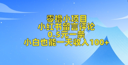 零撸小项目，小红书留言评论，0.5元一条，小白也能一天收入100+-中创网_分享创业项目_互联网资源