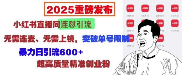 2025重磅发布：小红书直播间连怼引流，无需连麦、无需上镜，突破单号限制，暴力日引流600+-中创网_分享创业项目_互联网资源