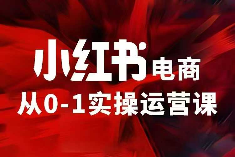 小红书电商运营，97节小红书vip内部课，带你实现小红书赚钱-中创网_分享创业项目_互联网资源