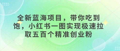 全新蓝海项目，带你吃到饱，小红书一图实现极速拉取五百个精准创业粉-中创网_分享创业项目_互联网资源