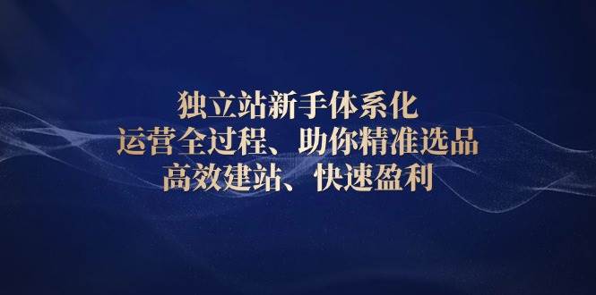 独立站新手体系化 运营全过程，助你精准选品、高效建站、快速盈利-中创网_分享创业项目_互联网资源