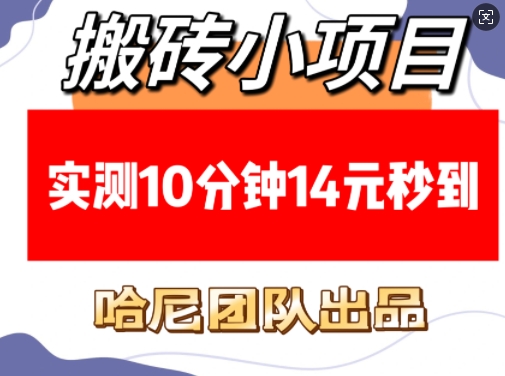 搬砖小项目，实测10分钟14元秒到，每天稳定几张(赠送必看稳定)-中创网_分享创业项目_互联网资源