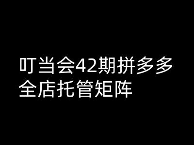 钉铛会拼多多平台打穿班原创设计高级技术性第42期，拼多多平台店铺代管引流矩阵-中创网_分享创业项目_互联网资源