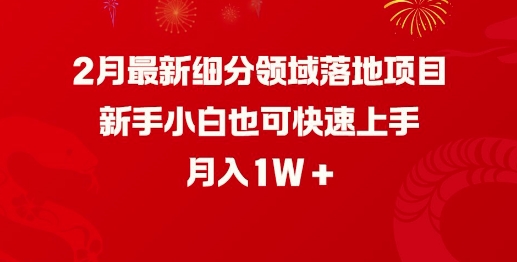 2月全新细分行业落地项目，新手入门也可以快速入门，月收入1W-中创网_分享创业项目_互联网资源