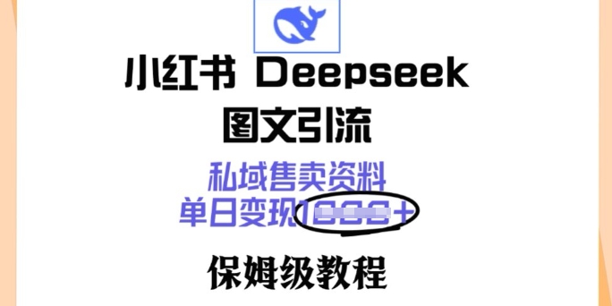 小红书的Deepseek图文并茂引流方法，公域出售材料，单日转现好几张，家庭保姆级实例教程-中创网_分享创业项目_互联网资源